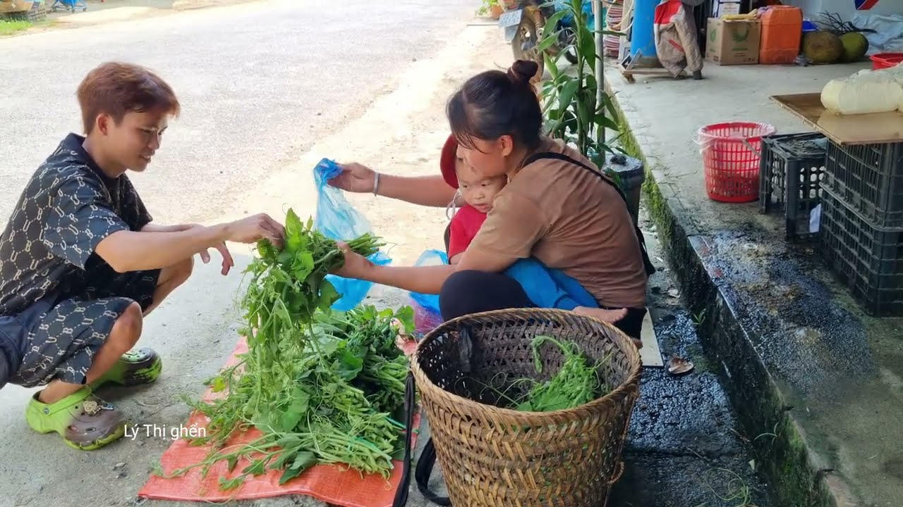 Harvesting vegetables with my son to sell at the market - Single life