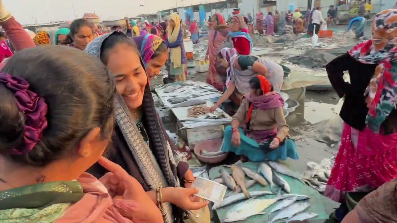 Vanakbara wholesale fresh fish market | vegetables market |wholesale dry  fish market | part 2