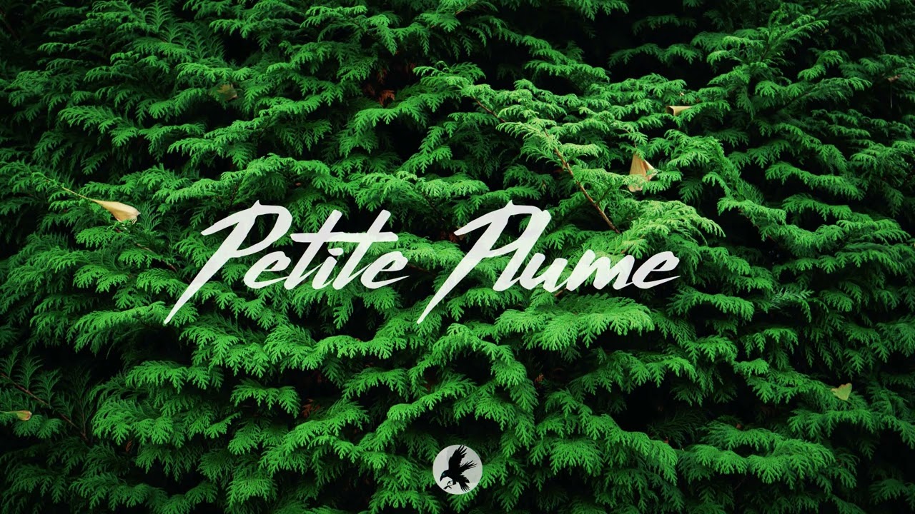 Djadja & Dinaz X Landy Type Beat - 