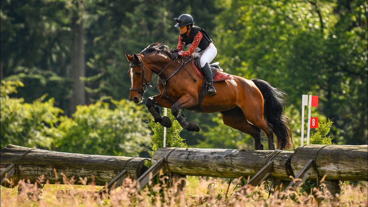 SGW Ede Putten, klasse L paarden, 16-06-2024
