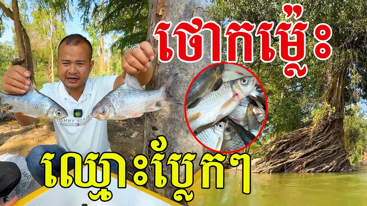 ធូរថ្លៃម៉្លេះ ឈ្មោះប្លែកៗ ទើបស្គាល់លើកទី១