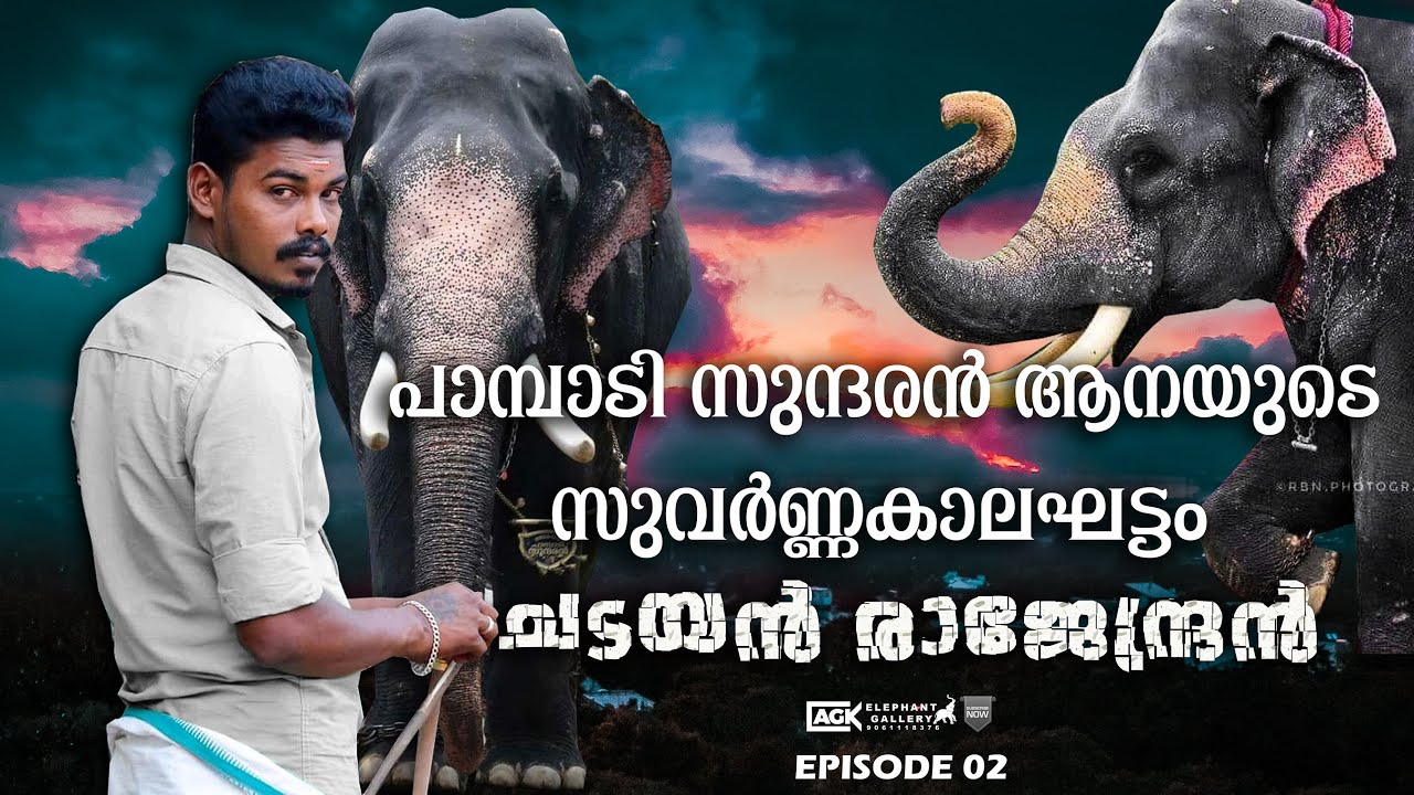 പാമ്പാടി സുന്ദരൻ ആനയുടെ സുന്ദരമായ കാലഘട്ടം |ചടയൻ രാജേന്ദ്രൻ|ചടയൻ രാജേന്ദ്രൻ| EPISODE 02