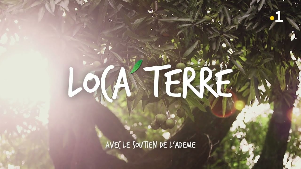 Multiplier, protéger, planter : la valorisation des plantes indigènes et endémiques de La Réunion