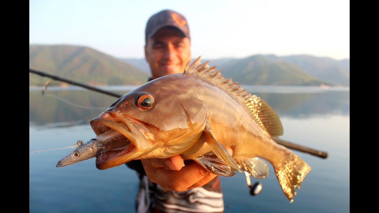 Kıyıdan Sandeel Silikon Yemle Lahoz Avları ( Gold Blotched & White Grouper )