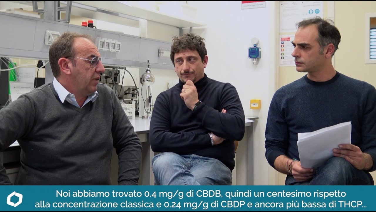 Le percentuali dei nuovi cannabinoidi trovati nell'FM2 con Giuseppe Cannazza