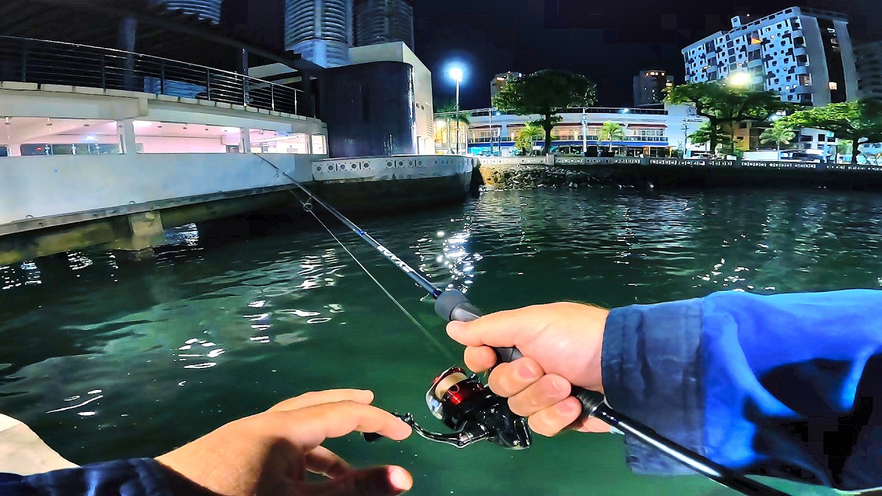 PESCARIA NA MARAVILHOSA PONTA DA PRAIA, em SANTOS-SP! QUE DESESPERO PRA PEGAR UM PEIXE!