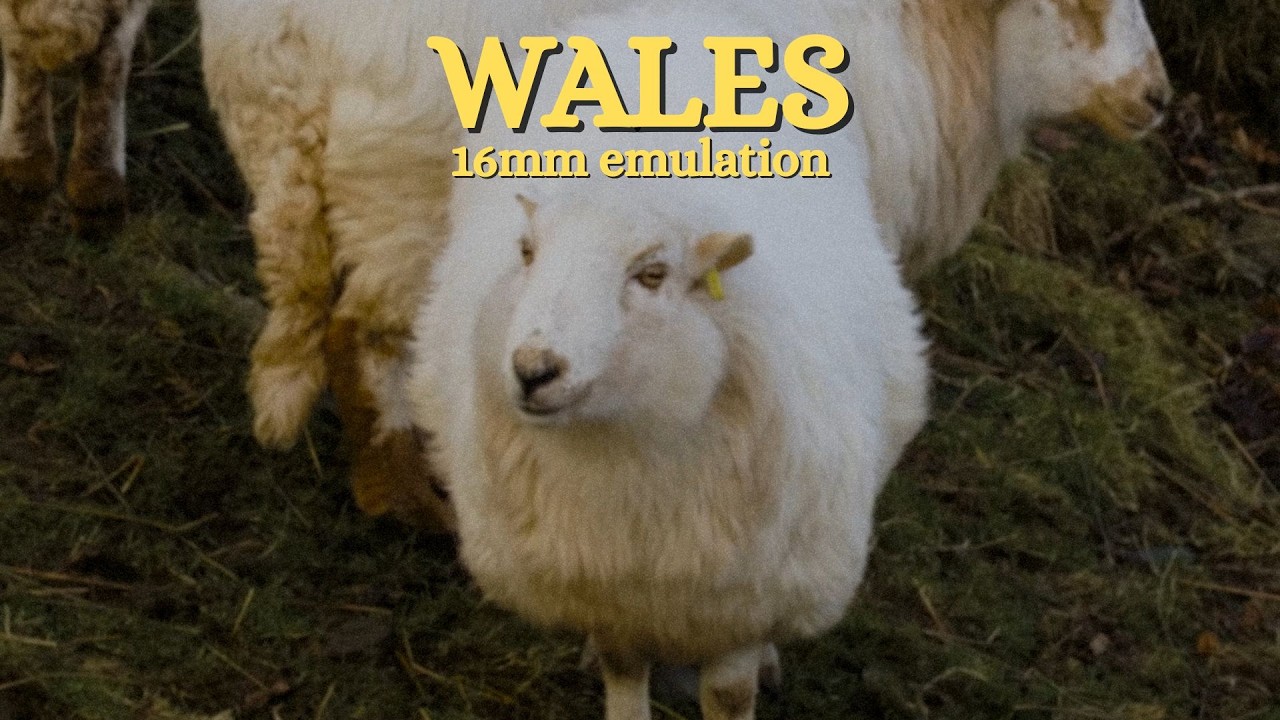 Snowdonia, Wales on 16mm | Film Emulation