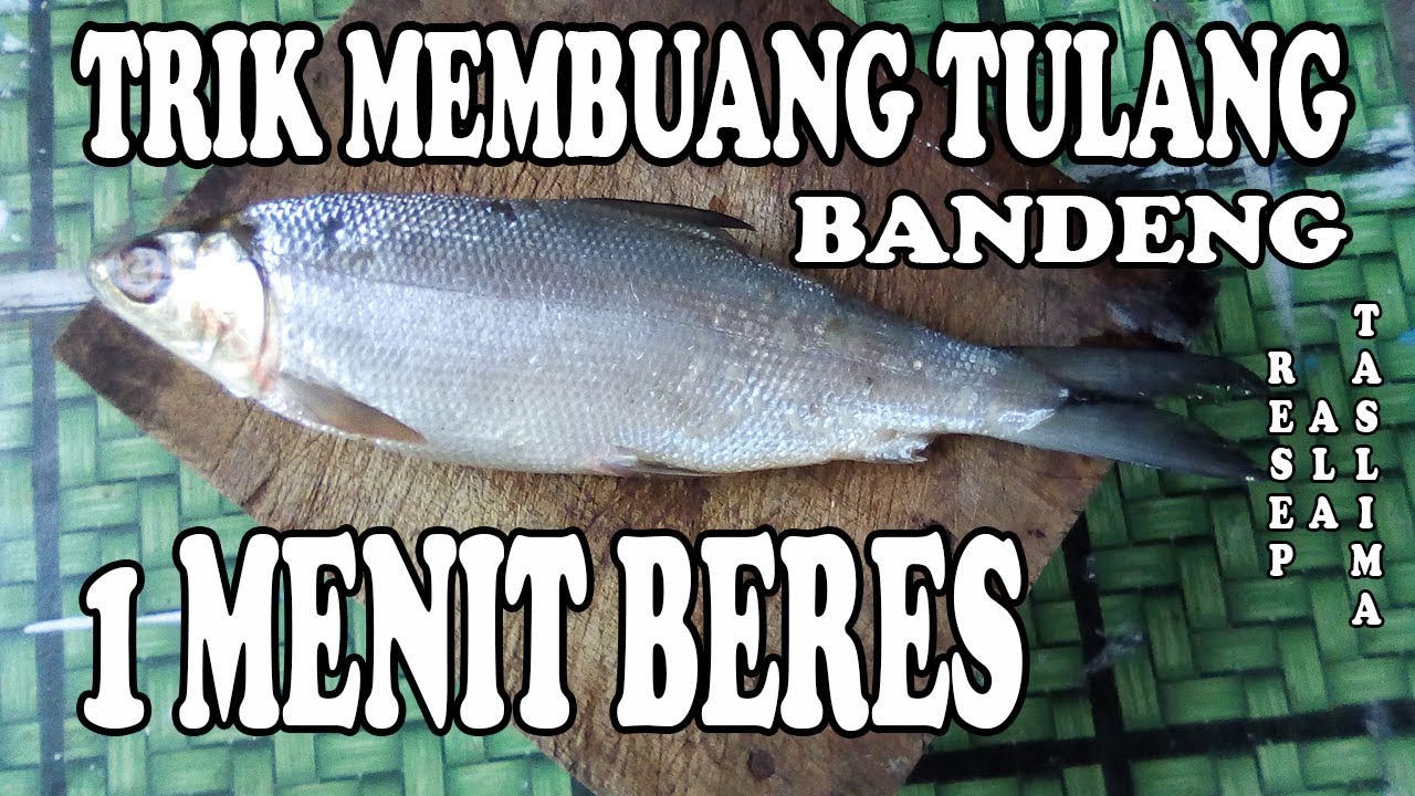 IKAN BANDENG TANPA TULANG TRIK TERMUDAH CUMA 1 MENIT
