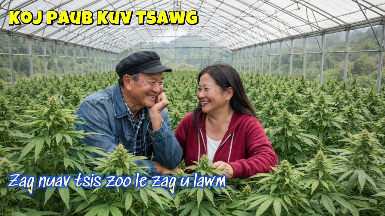 Zag Nuav Tsis Zoo Le zag U lawm 2-27-26