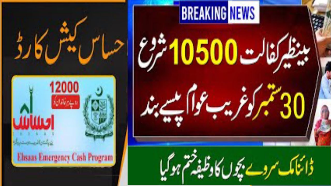 10500 Kal Se Shuru | 8171 Online Registration 2025 | Benazir Kafalat Payment Check By CNIC | Survey
