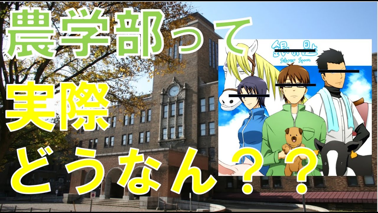 【現役北大生が語る】北海道大学農学部の悪いとこ＆ギャップがあったところトップ３
