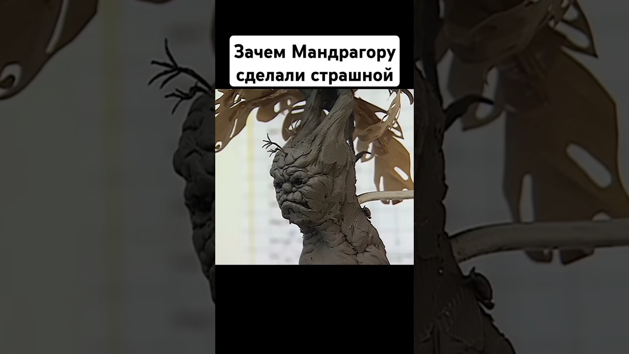 Зачем Мандрагору сделали такой страшной #гаррипоттер #закадром #какснимали #факты #юмор #мандрагора