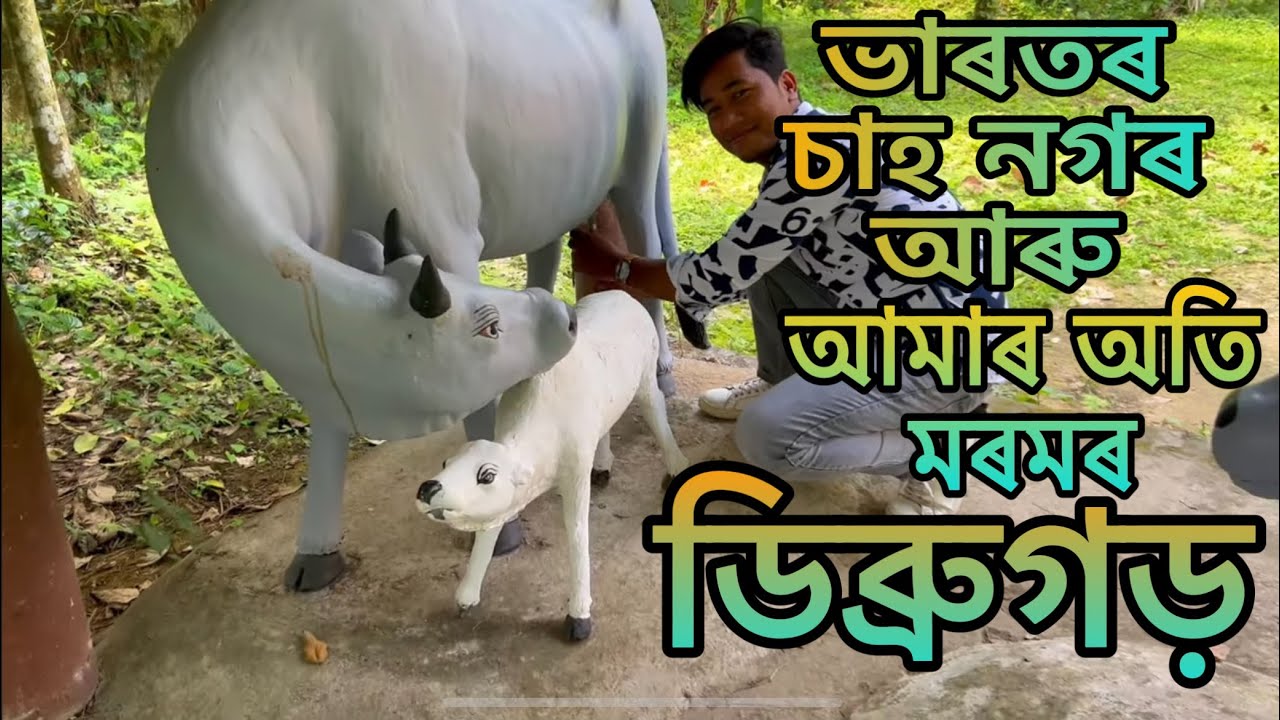 আমাৰ মৰমৰ ডিব্ৰুগড় // ভাৰতৰ চাহৰ নগৰ //Dibrugarh//