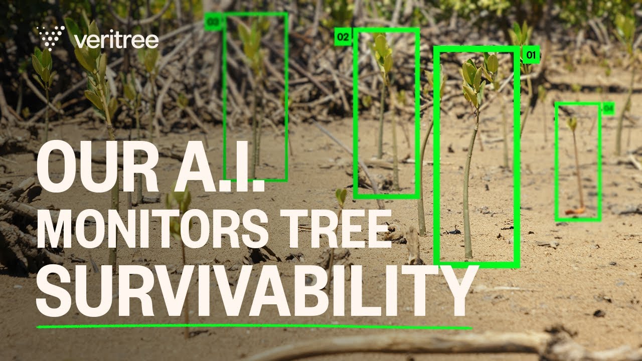 AI-Powered Tree Survivability