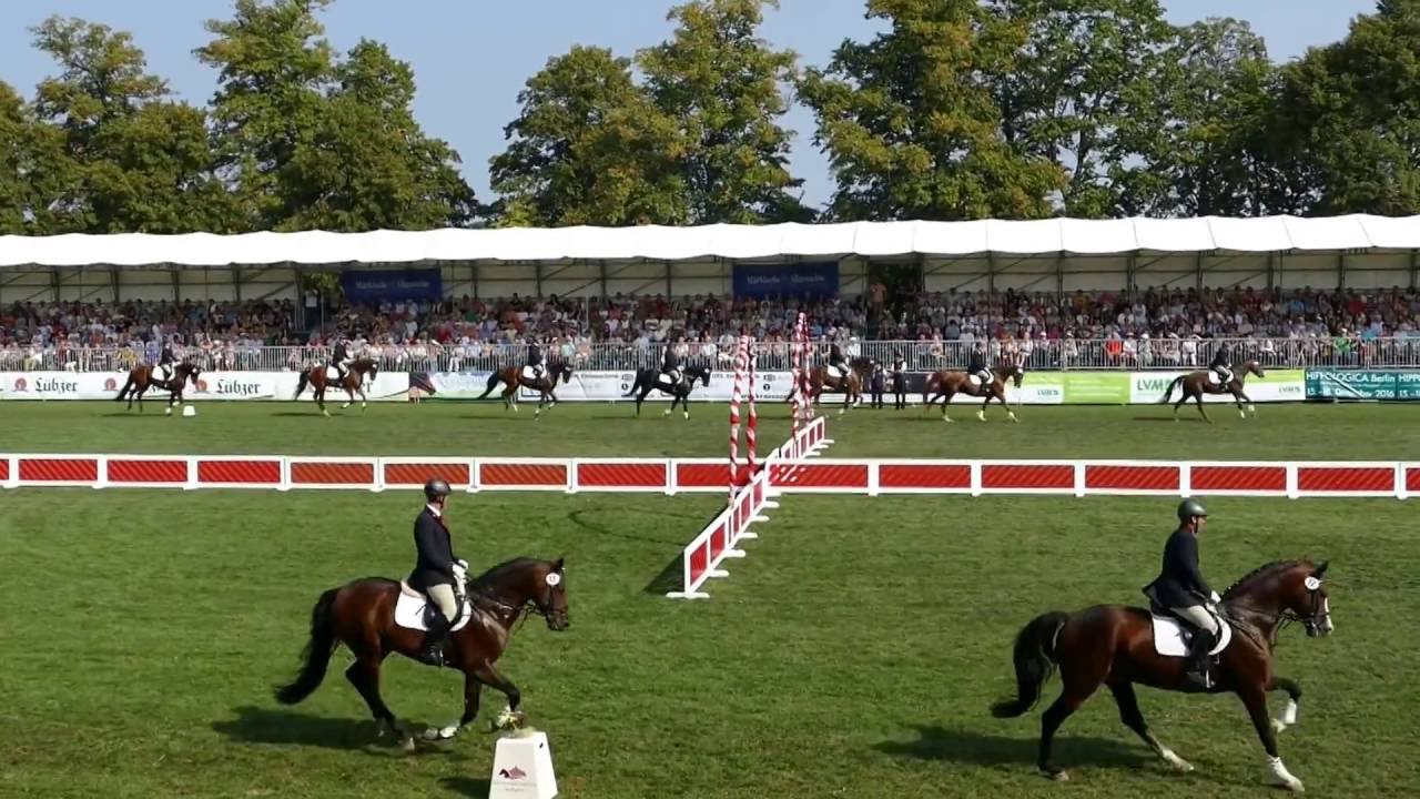Springquadrille bei Hengstparade 2016 Neustadt/Dosse