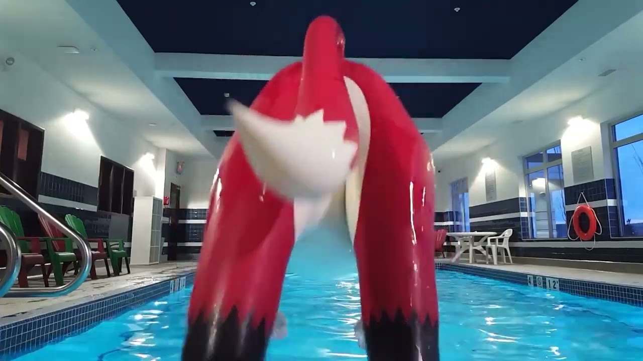 Inflatable Fox goes for a swim - Inflatable Fox Suit on water (Re-upload)