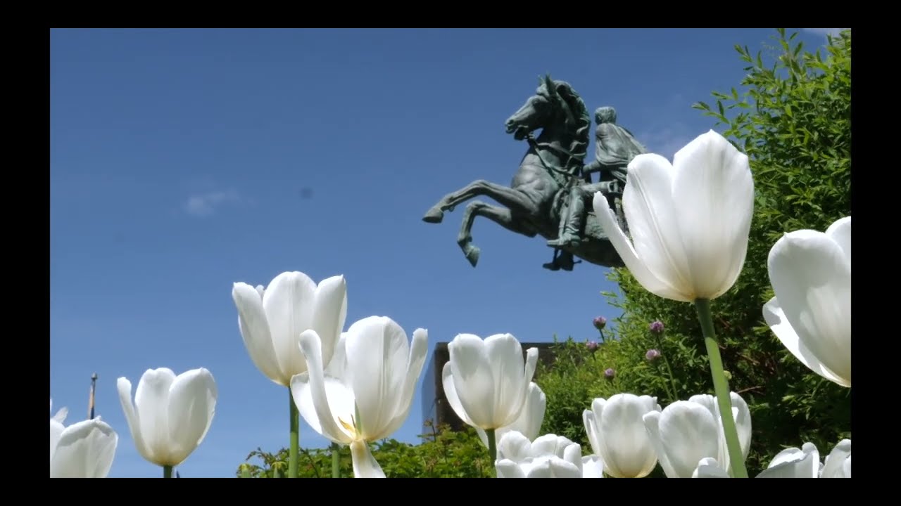 Printemps 2024   HD 1080p