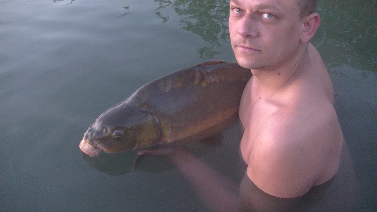 Majowy karp festiwal