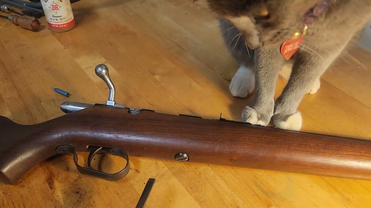 H&R 765 Pioneer: A Simple Bolt Action