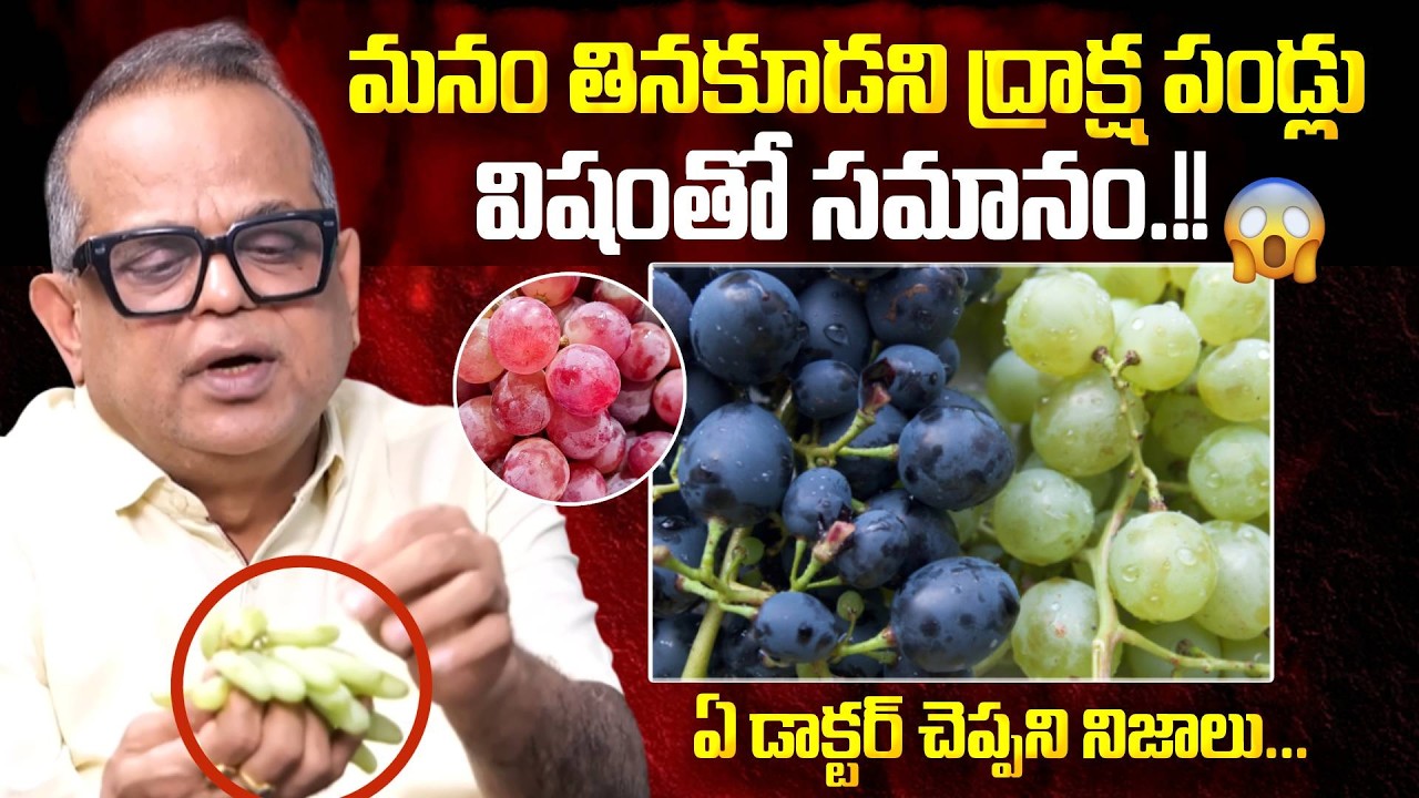 మనం తినకూడని ద్రాక్ష పండ్లు.! These Grapes Are Like Poison? The Truth Everyone Should Know! |SumanTV