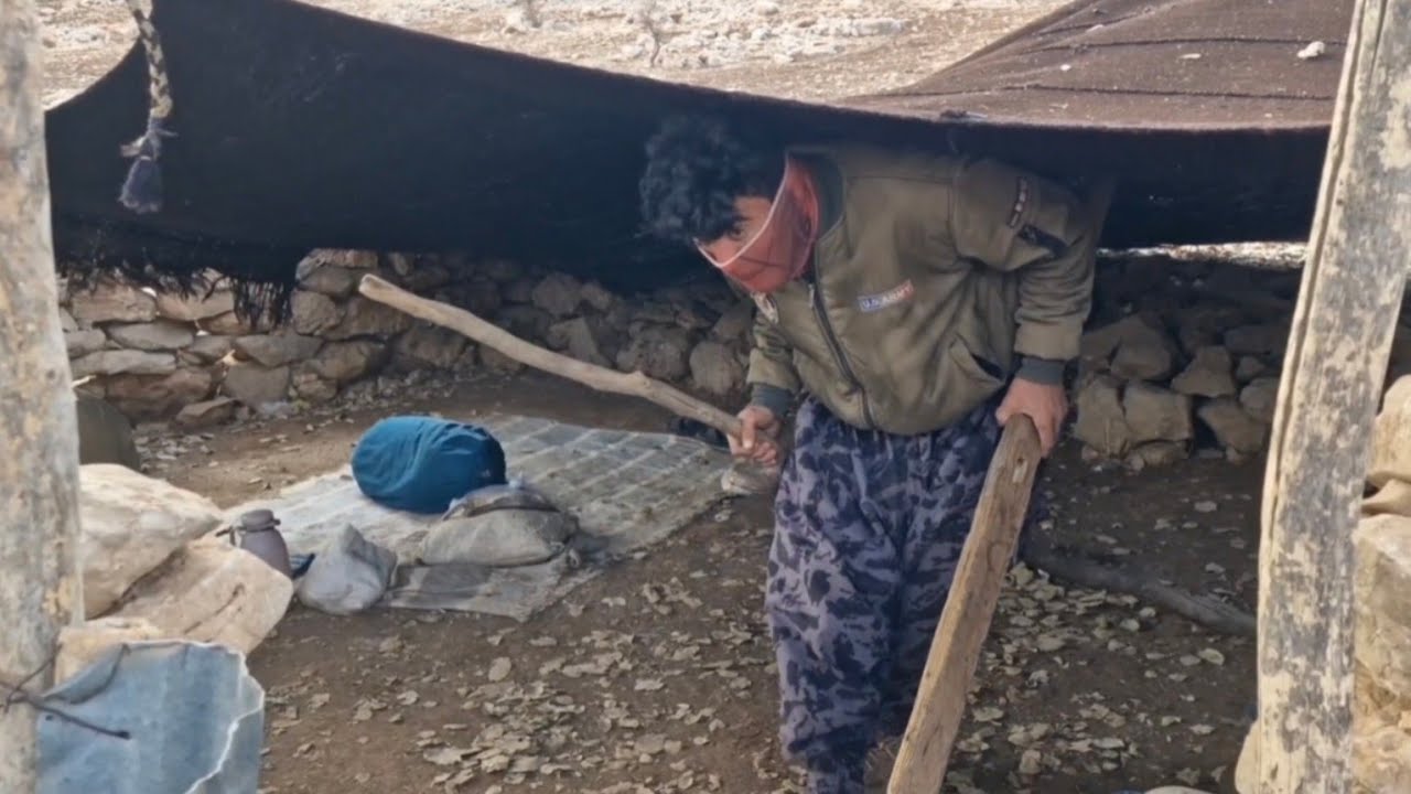 🎬 Moving the black tent and household items from the mountains to the village for winter migration