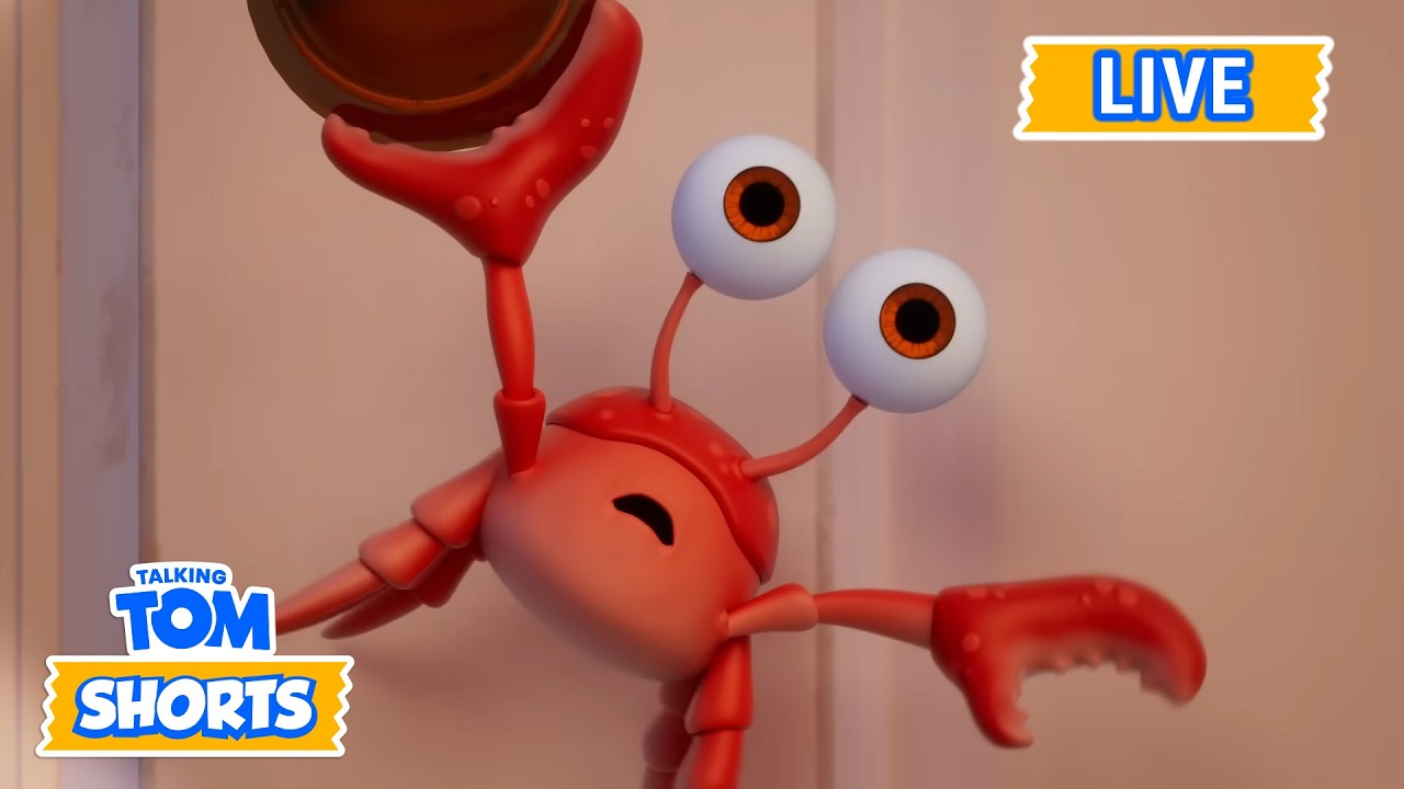 🔴LIVE: Angela und die Krabbe! 🦀 | Talking Tom Live | Lustige Tier-Cartoons | Talking Tom Shorts