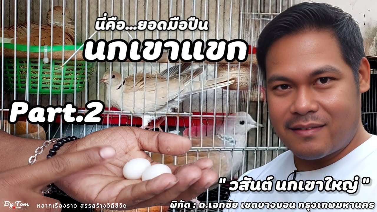 บุกฟาร์ม | วสันต์ นกเขาใหญ่แฟนตาซี ฟาร์มที่พัฒนาสายคูอ่าง + คารม + ปากเบา + ร้องหลายกุก | Part.2