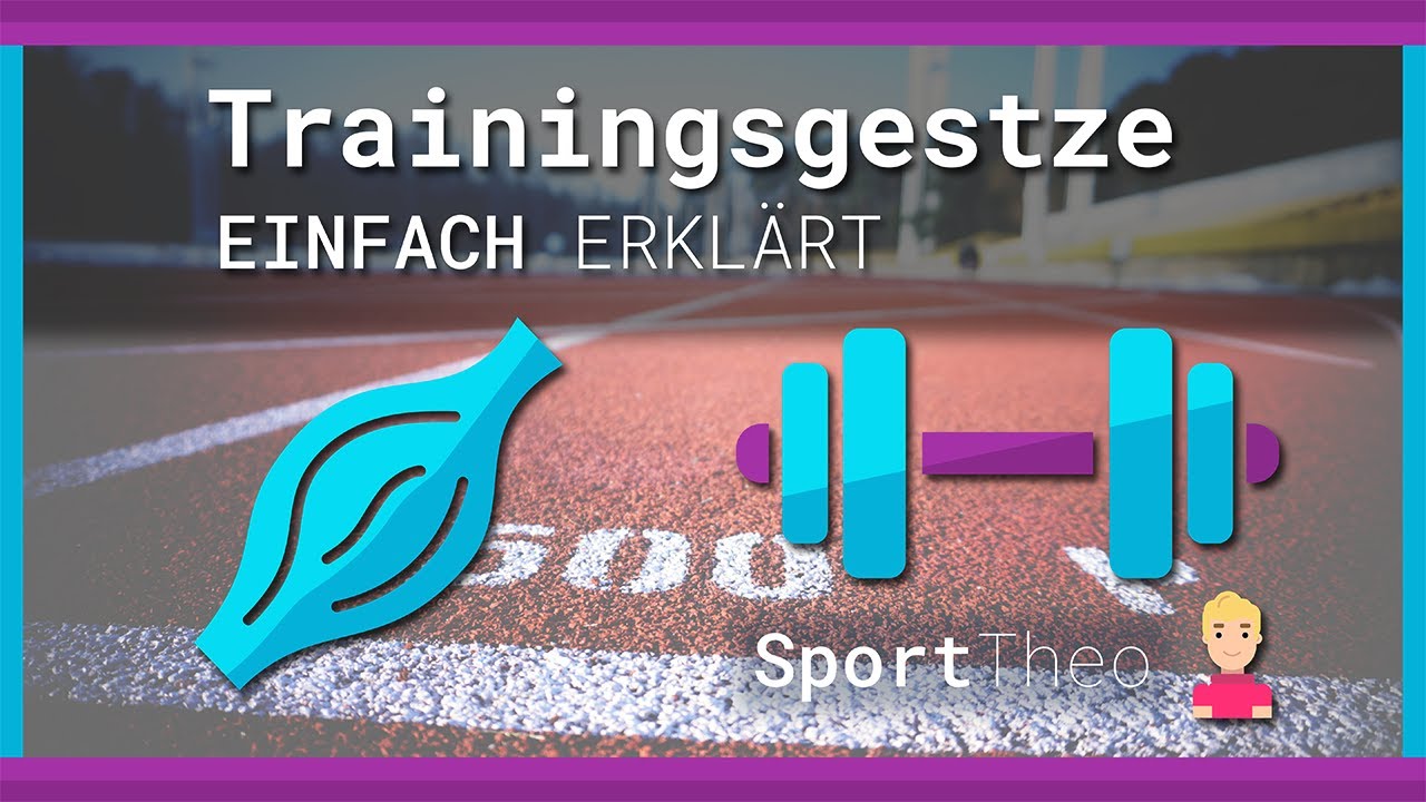 Trainingsgesetze einfach erkl&auml;rt | Sporttheo.de