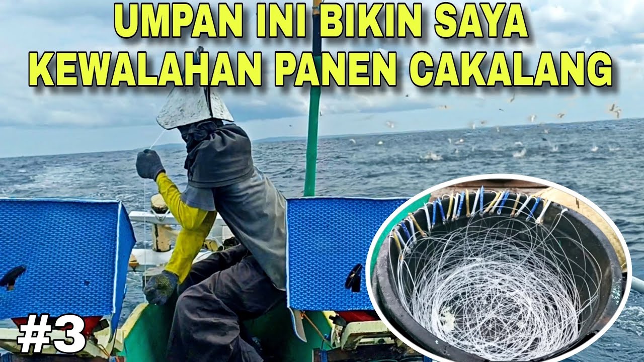 MANCING CAKALANG/TUNA Eps. 3 Part 2 | TEHNIK PARABOLA STRIKE TIADA HENTI