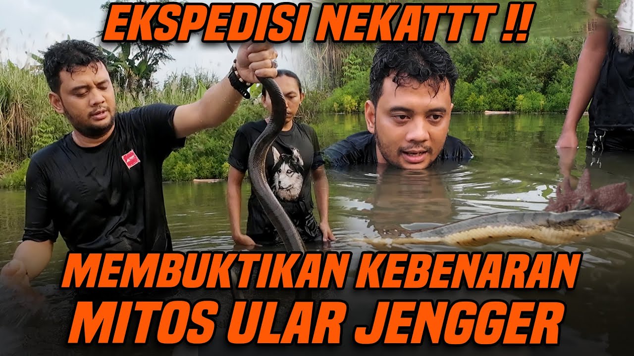 PANJI NEKAT !!! MENCARI KEBERADAAN ULAR JENGGER DI CIANJUR