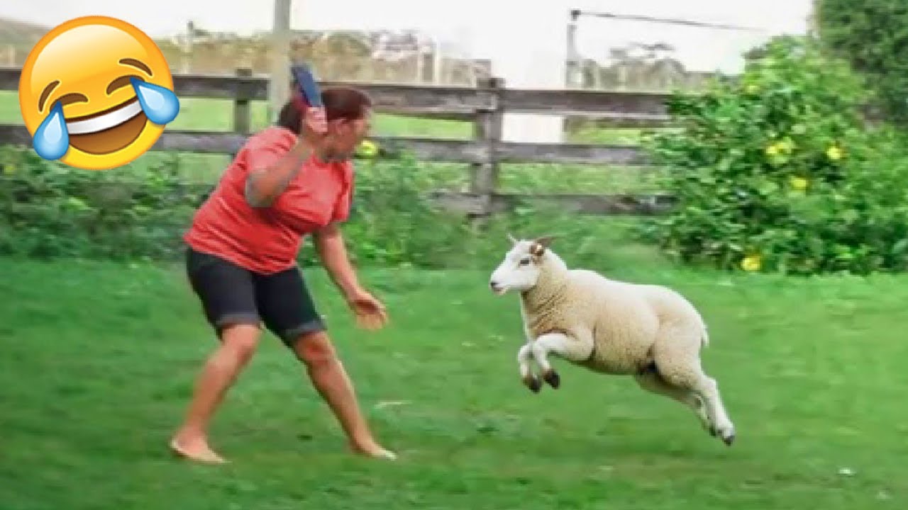 Funny Moments That Will Brighten Your Day #17