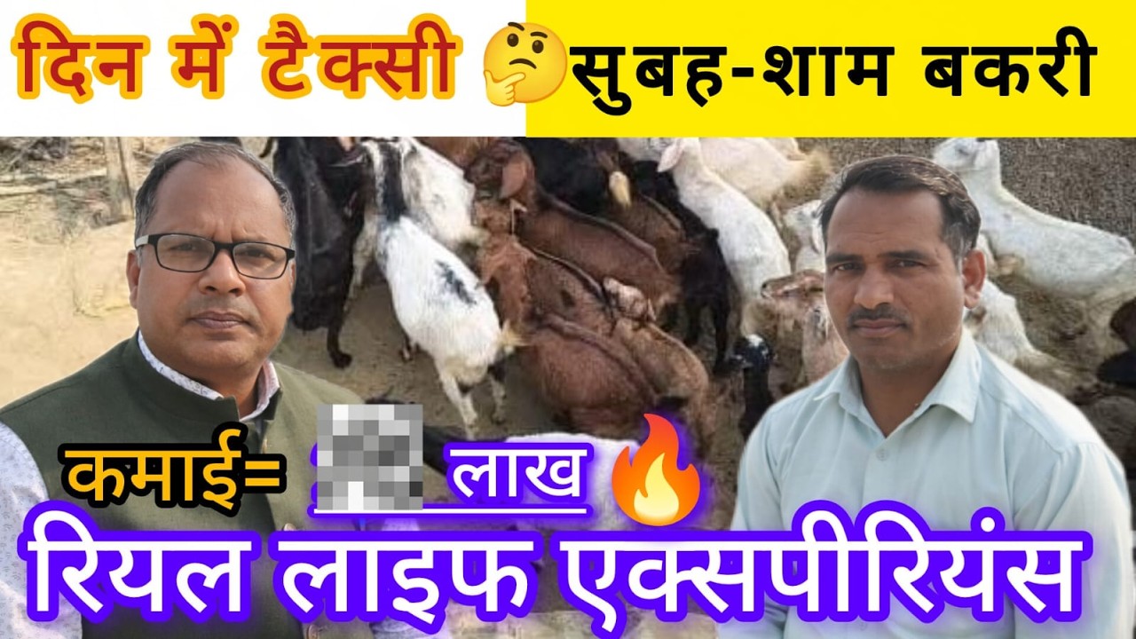 5 से 45 बकरियाँ पालन कैसे करें? 🐐 सच्चाई व रियल एक्सपीरियंस #goatfarming #goatfarmingbusiness