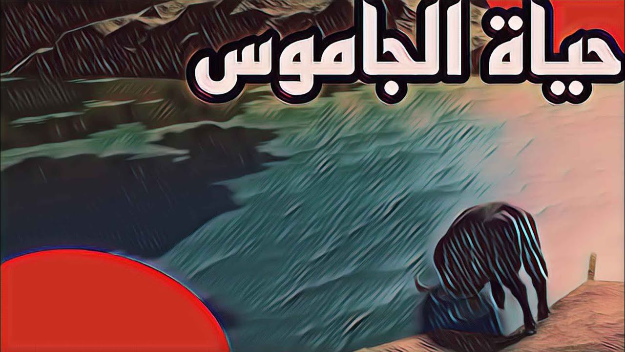 ماب سافانا لايف في لعبة روبلوكس تجربة حياة الجاموس🦬😍〢