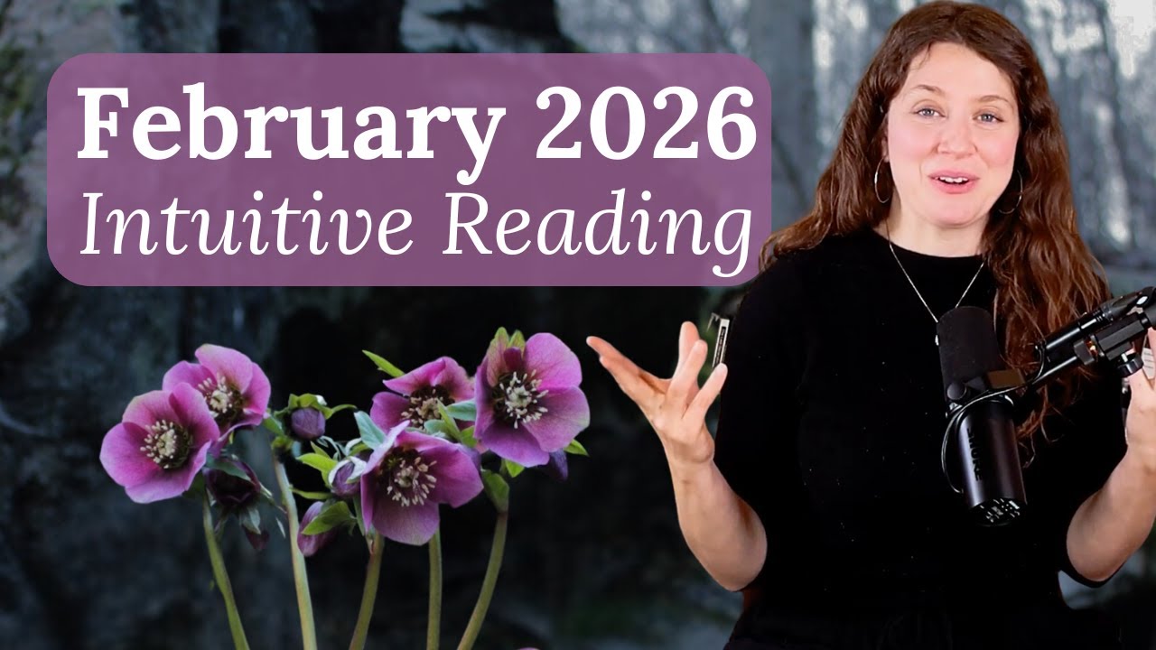 Febraury 2026 Intuitive Reading