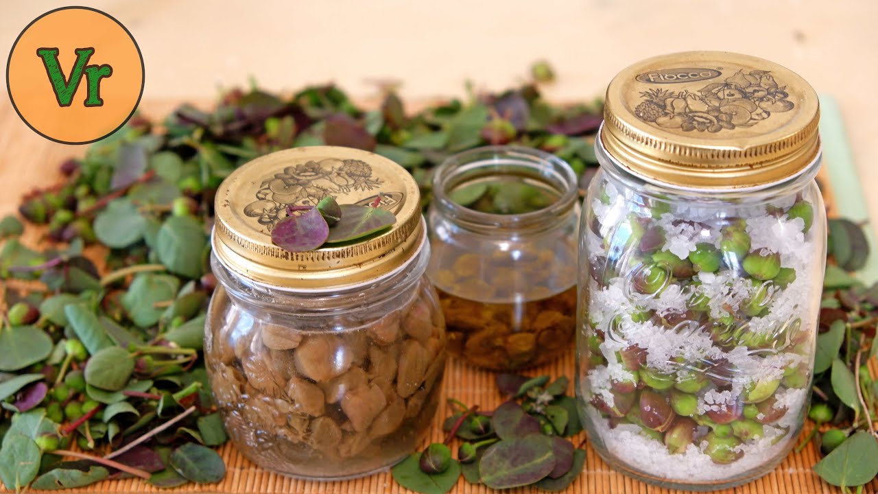 Comment conserver les c&acirc;pres | Sel, huile ou vinaigre