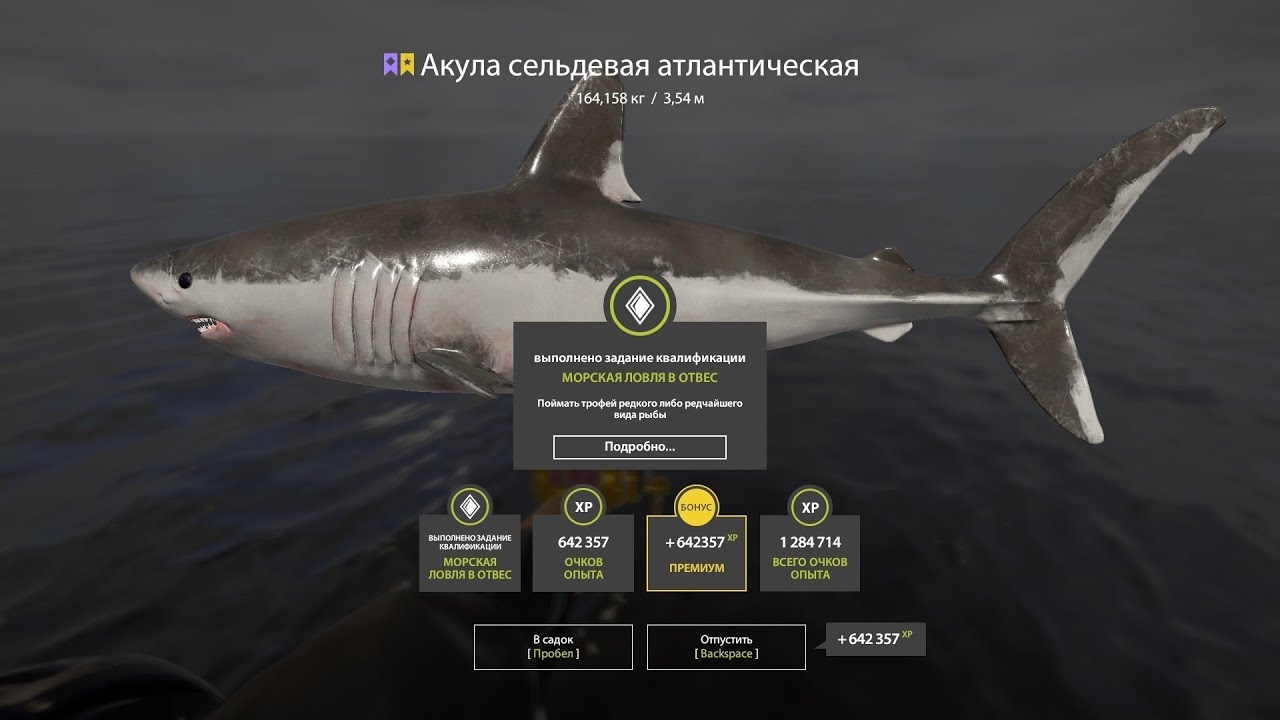 📢СТРИМ РР4🔥УТРЕННИЕ РЫБЫ НА НОРВЕЖСКОМ МОРЕ🔥РУССКАЯ РЫБАЛКА 4
