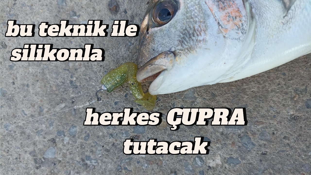 Teknik Sırları: Silikon ile Çupra Yakalama Taktikleri / LRF balık avı