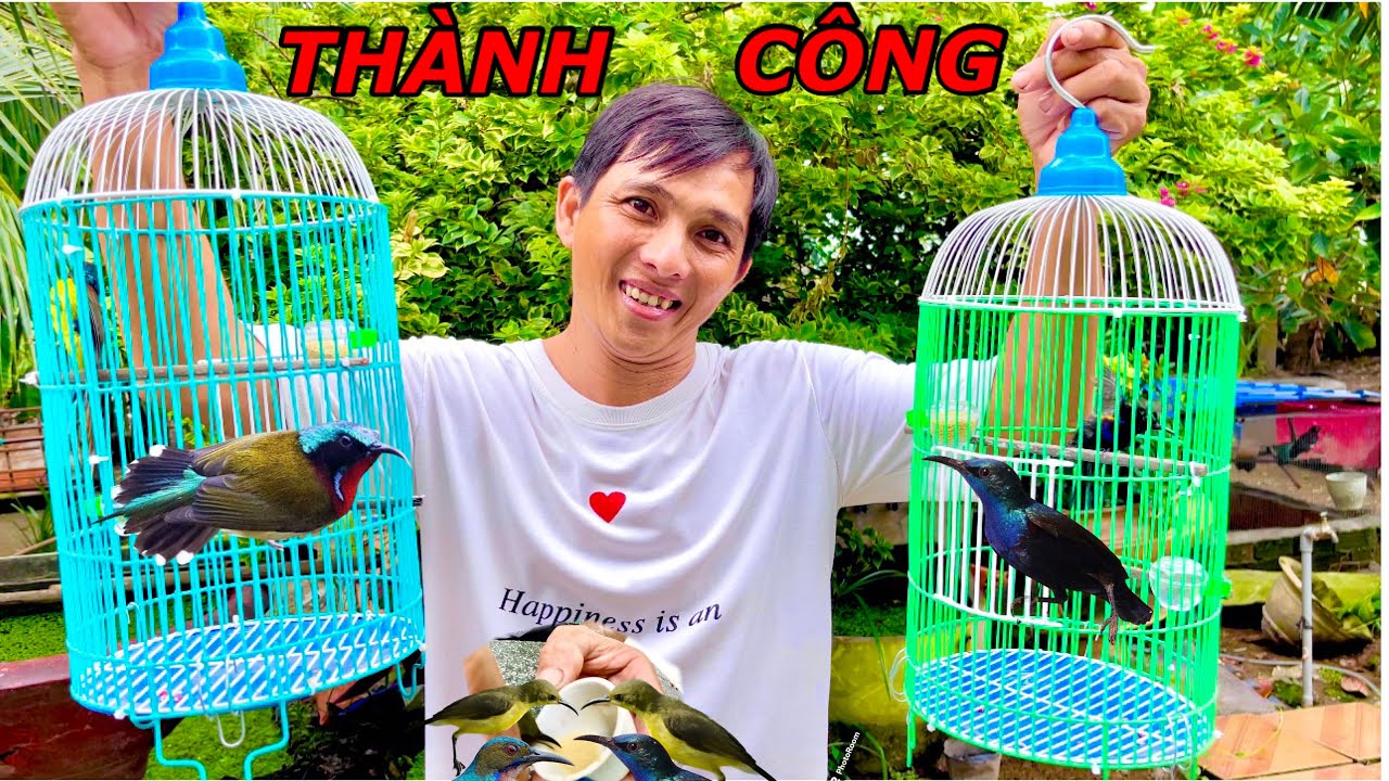 Lần Đầu Tiên Mua Lồng Chim Mới Tặng Cho Chim Hút Mật Chim Đổ Quyên | Anh Tư Khải Tv