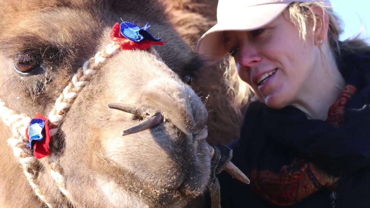 Incredible Mongolian Camel Adventure