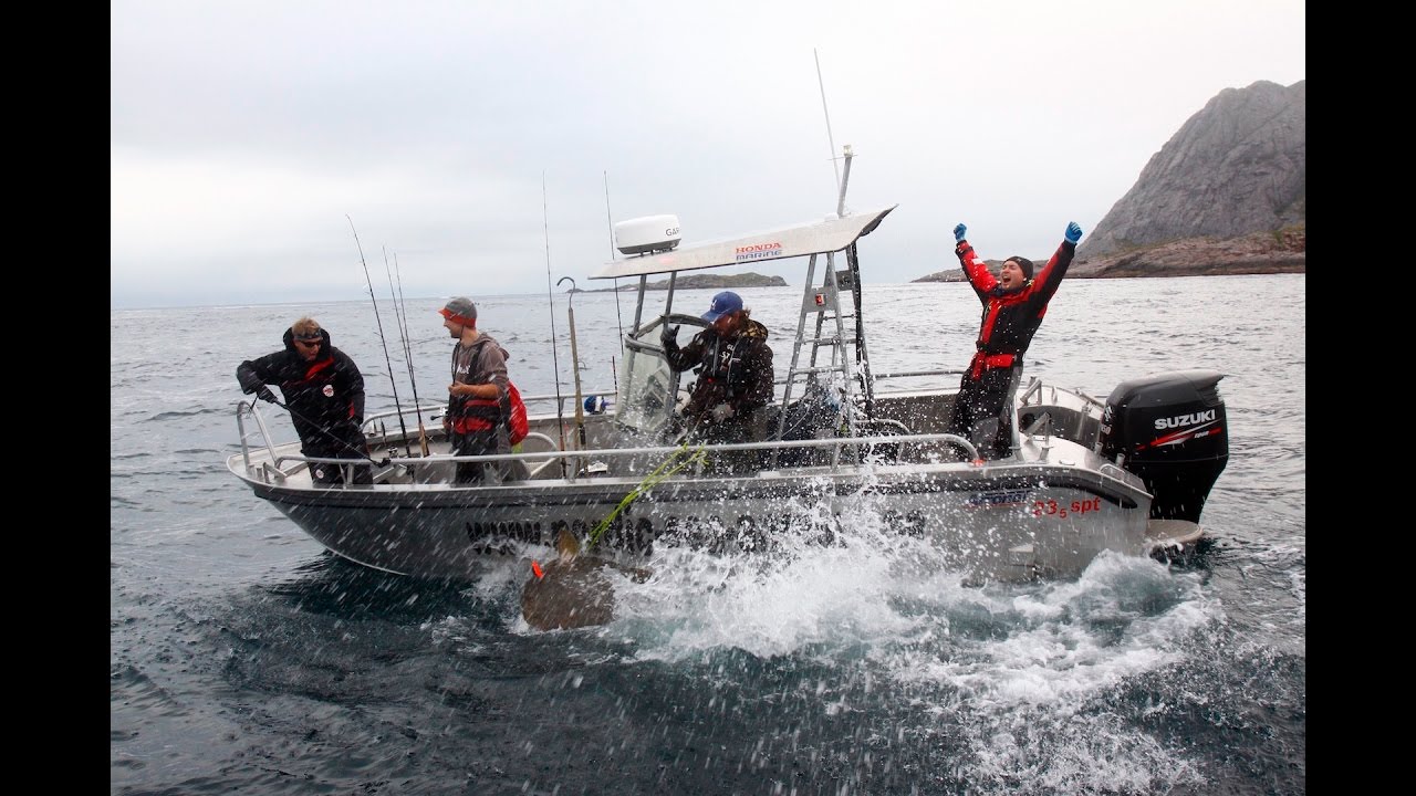 196 cm &ndash; 110 kg/240 lbs halibut/kveite from &Aring;, Lofoten