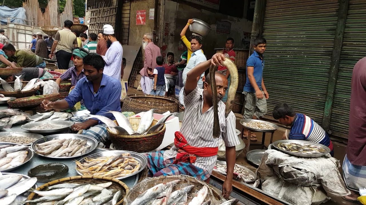 Famous Local Fish Market Noya Bazar Old Dhaka Bangladesh | All Fishes Are very Fresh Here