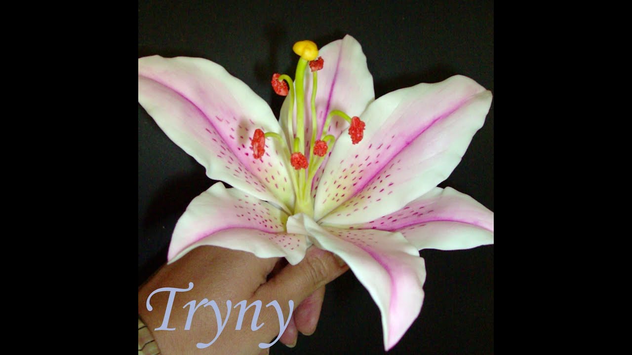 Flores porcelana Fria: Lirio Paso a Paso / Cold porcelain Flowers How to make a Lillie