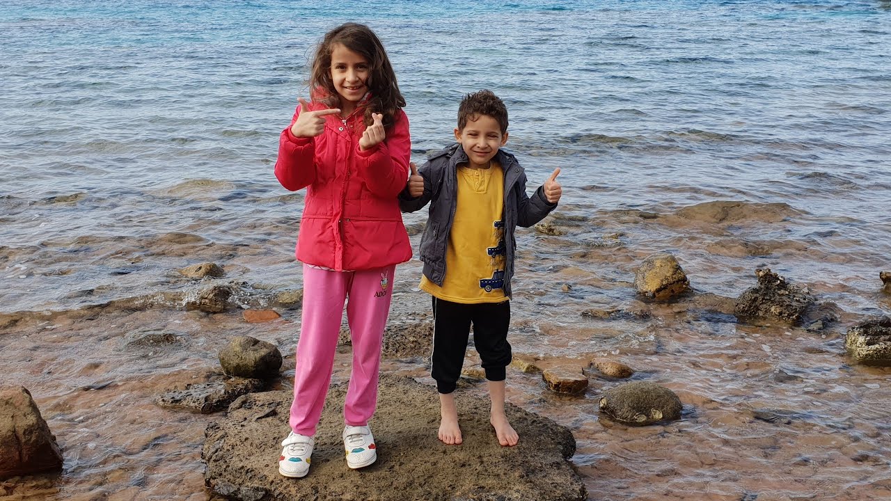 مسكنا قواقع البحر وعبود شاف سمكه يحسبها شاقة || - 242 -