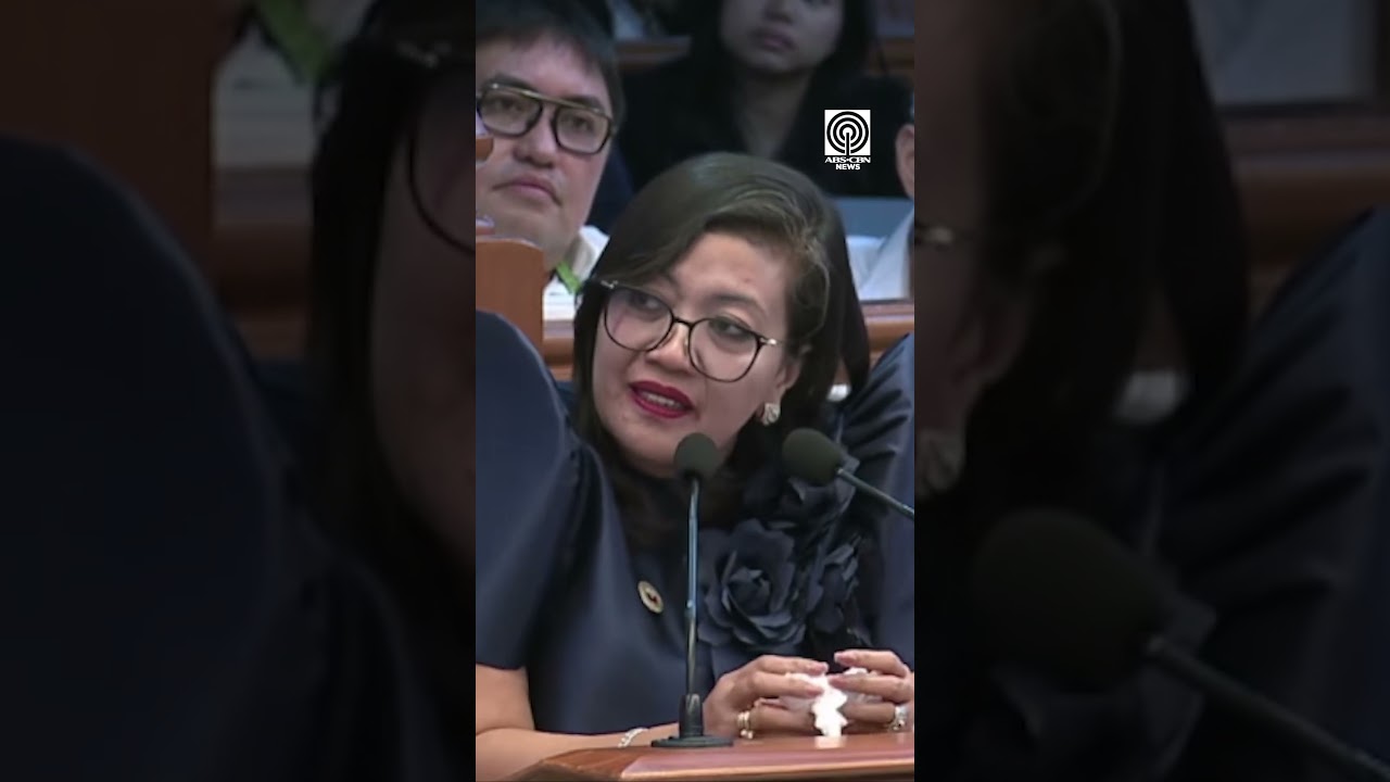 Luistro kay Padilla: Walang kaso, conviction ang aming witnesses