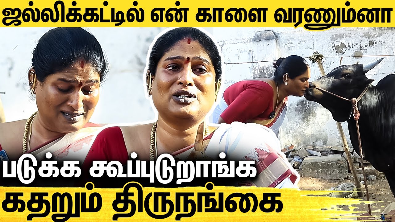 ஜல்லிக்கட்டு மாடுக்கு டோக்கன் கேட்டா படுக்க சொல்லுறாங்க : Transgendar Keertan Emotional Interview