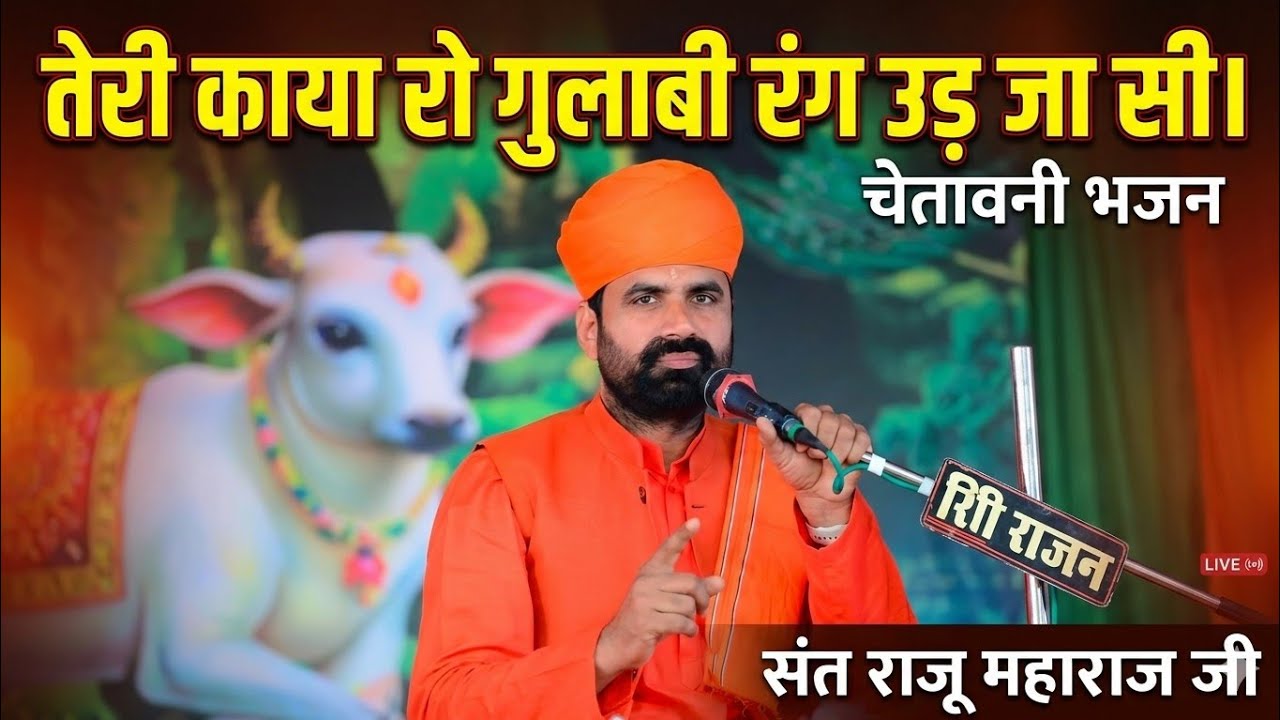 तेरी काया रो गुलाबी रंग उड़ जा सी।। चेतावनी भजन।। संत राजू महाराज जी।।Teri Kaya Ro Gulabi Rang Ud ja