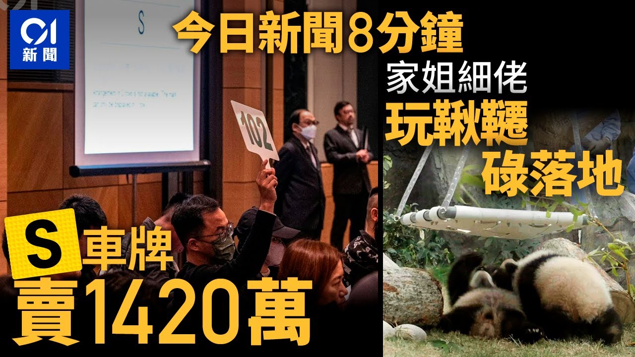 今日新聞｜新春車牌拍賣  S車牌1420萬成交｜大熊貓BB登場  家姐細佬玩鞦韆碌落地｜01新聞｜大熊貓BB｜車牌拍賣｜台中氣爆｜詩琳｜大麻園｜新光三越｜2025年2月16 #hongkongnews