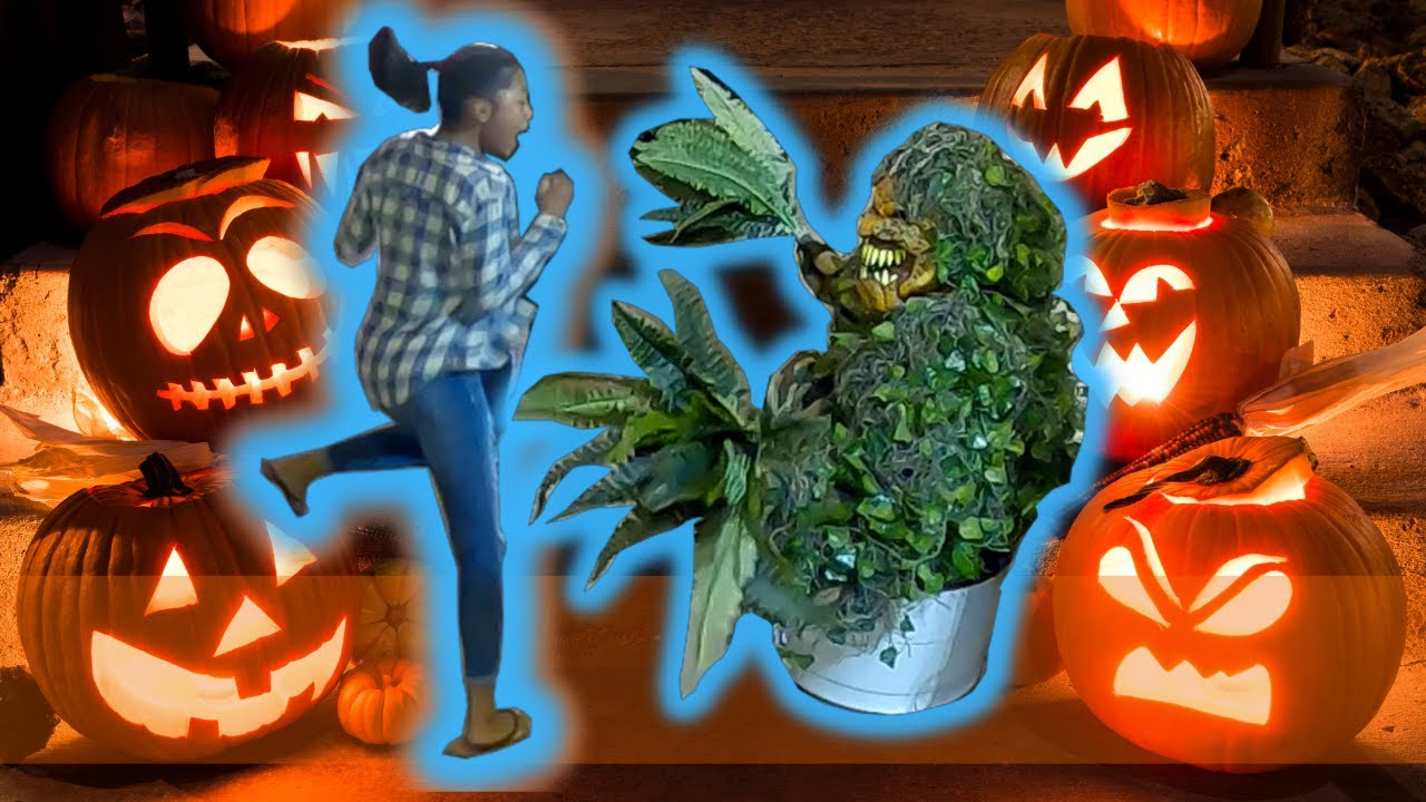 𝐇𝐀𝐋𝐋𝐎𝐖𝐄𝐄𝐍 𝐁𝐔𝐒𝐇𝐌𝐀𝐍 𝐏𝐑𝐀𝐍𝐊 🎃😱😱😬😂🤣😬😱😱🎃