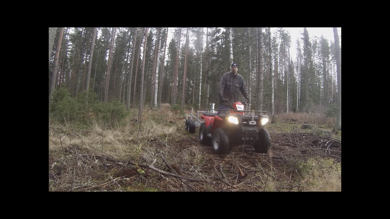 Tuulenkaatoja ja pystyynkuivaneita polttopuuksi. Polaris sportsman 500