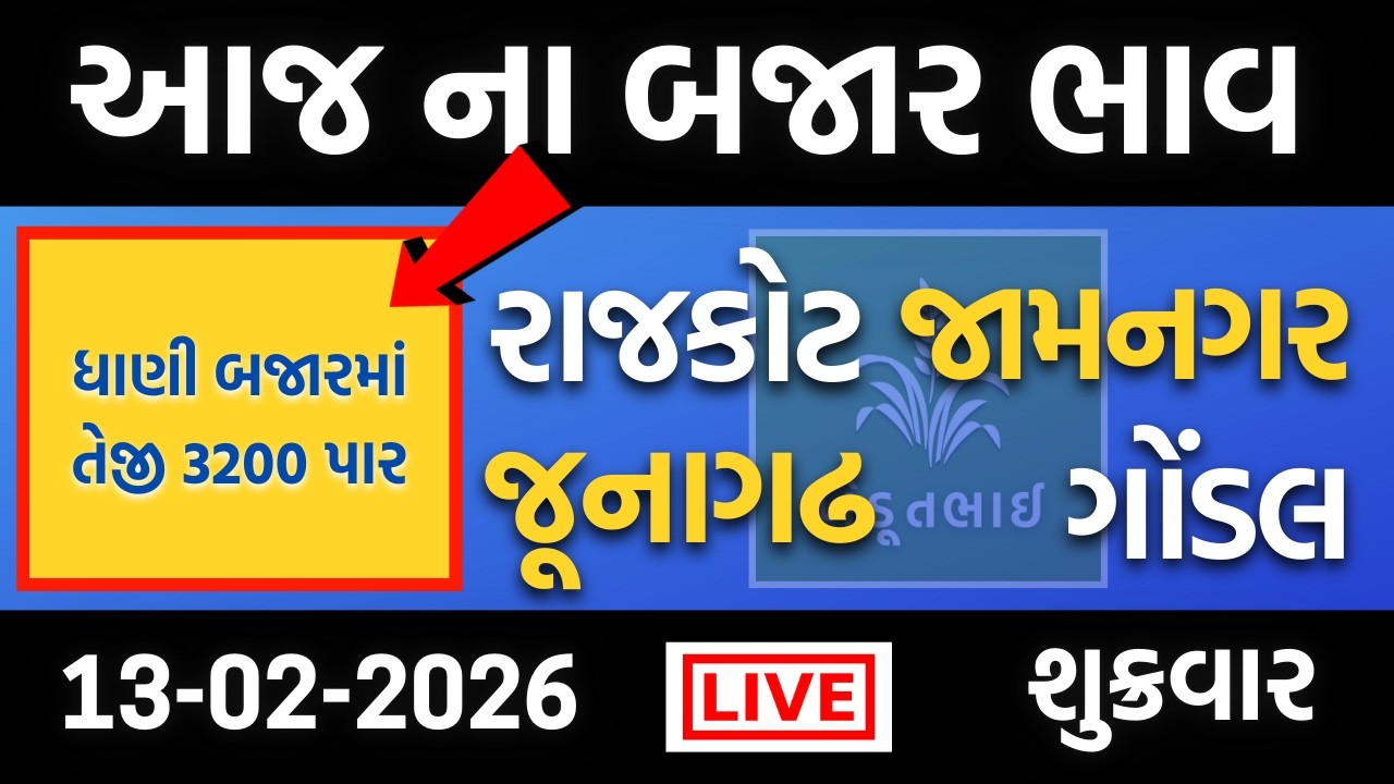 આજના 100% સાચા બજાર ભાવ | 13 02 2026 | રાજકોટ, ગોંડલ, જામનગર, જૂનાગઢ | ગોંડલ માર્કેટ યાર્ડ ના ભાવ